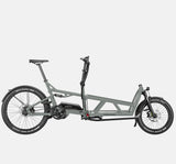 Riese & Muller Load 60 Full Suspension E-Cargo Bike in Tundra Grey Matte - GX Option (4710813007923)